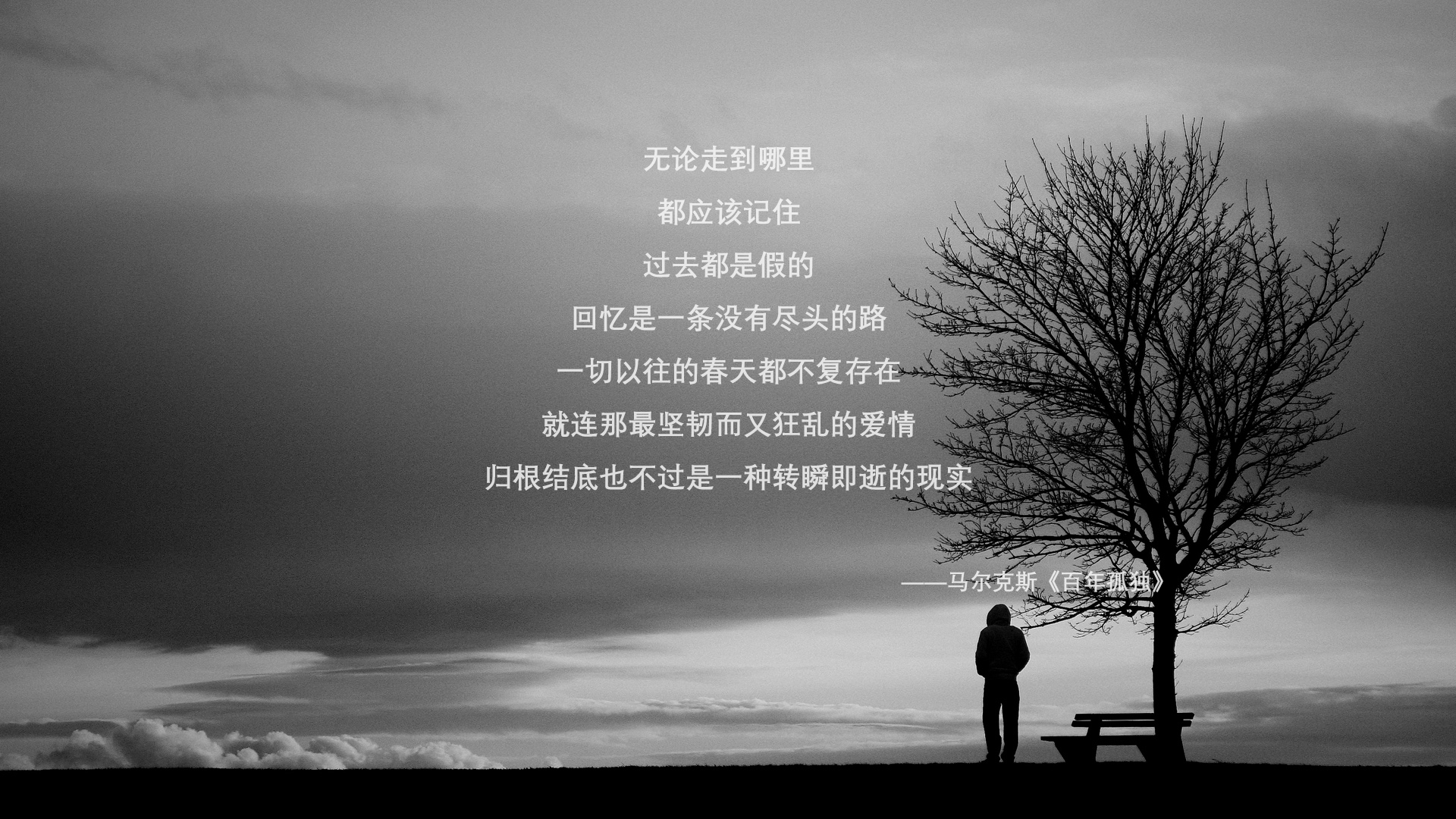 掘金主场气氛热烈球队士气高涨,掘金球队名单